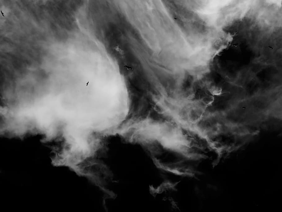 sky, clouds, birds, gulls, nature, black And White, cloud - Sky HD wallpaper