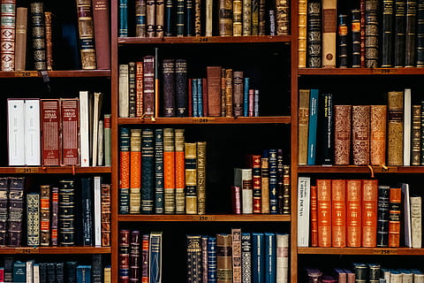 assorted-title of books piled in the shelves, assorted book lot inside the wooden shelf HD wallpaper