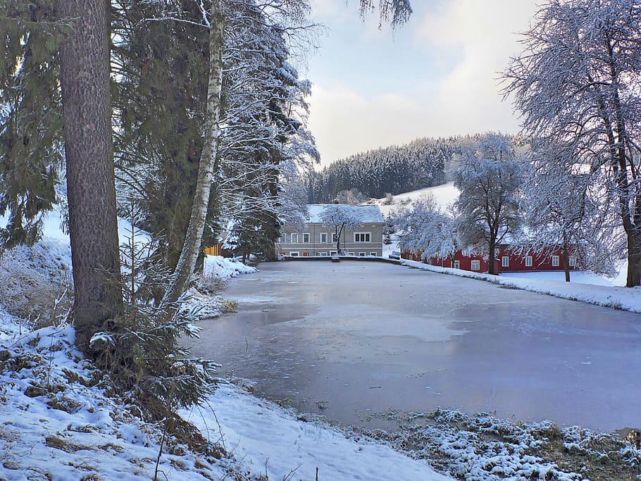 Frozen, Pond, Ice, Winter Magic, frozen pond, snow, frost, water HD wallpaper