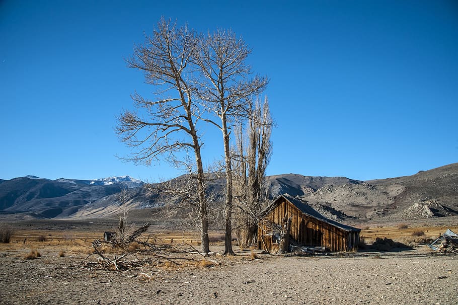 hut, tree, landscape, scale, sky, mountain, scenics - nature HD wallpaper