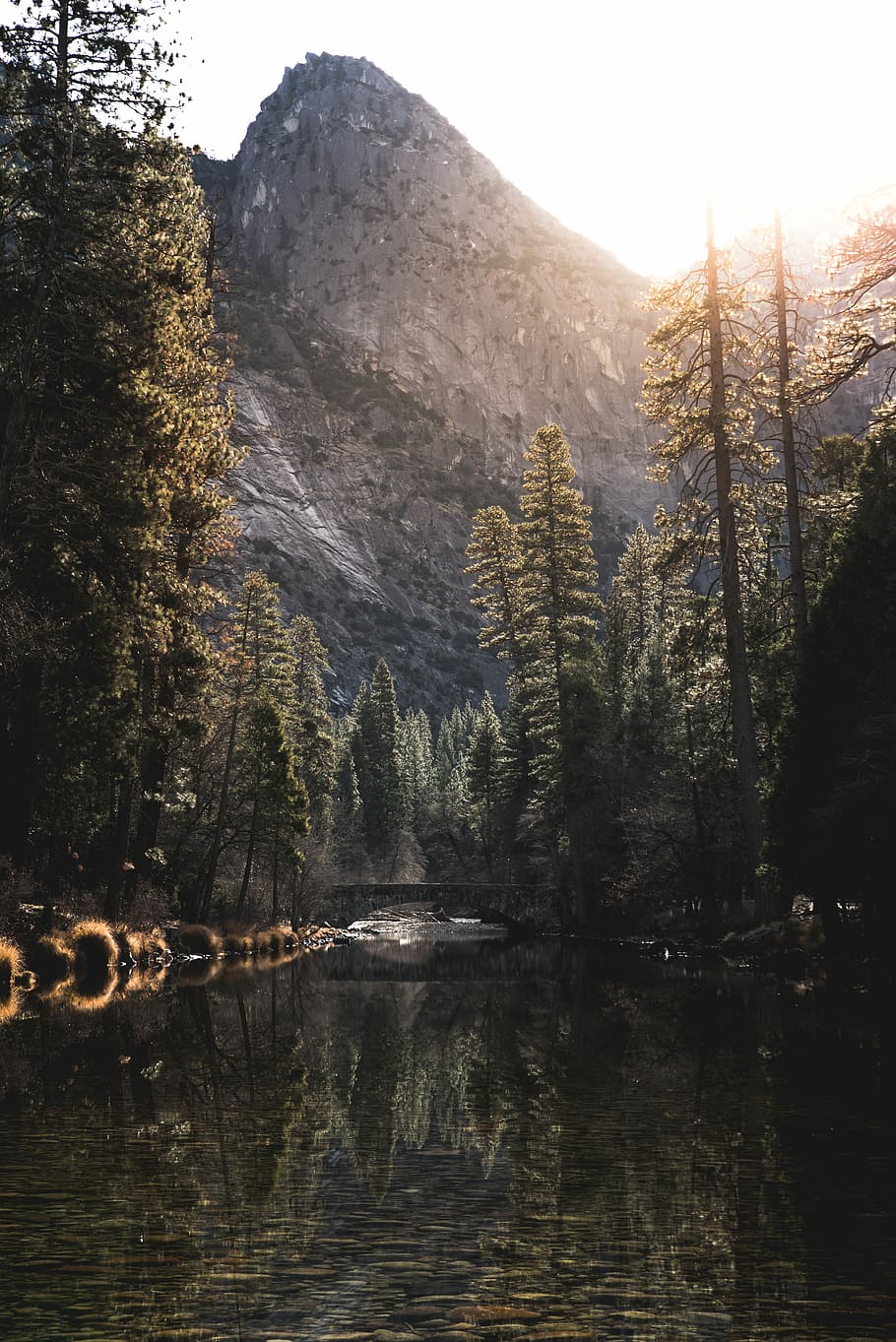 body of water in the middle of trees during daytime, gray rocky mountain near green pine trees HD wallpaper