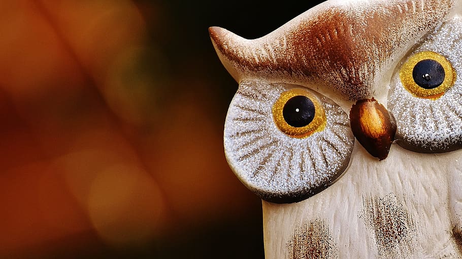 owl, bird, funny, ceramic, animal, cute, deco, figure, decoration HD wallpaper