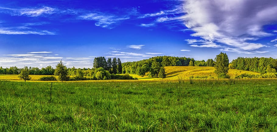 HD wallpaper: green field of grass and trees during daytime, panorama ...