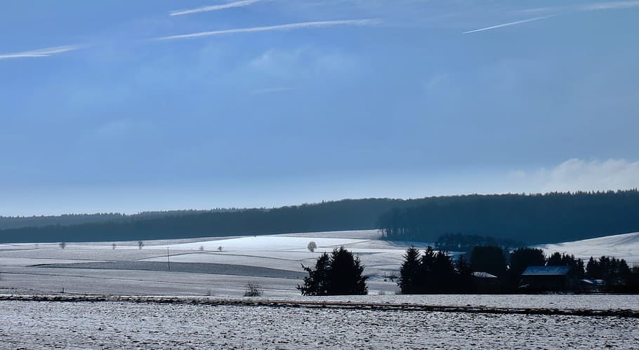 Winter, Landscape, Field, Snow, Cold, wintry, nature, frost HD wallpaper