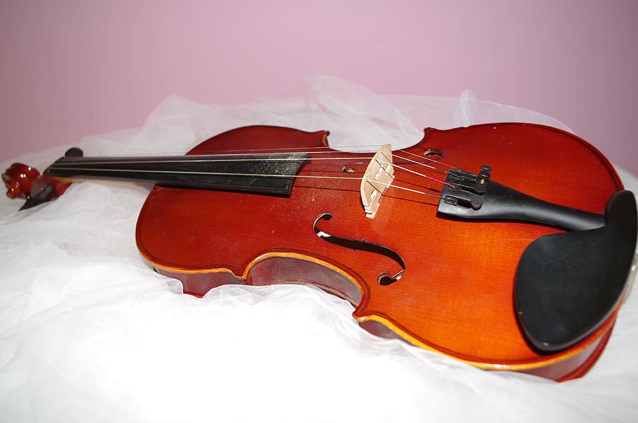 Violin, Music, Tool, musical instrument, cold temperature, no people HD wallpaper