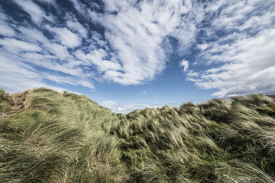 Rossbeigh, Ireland, photo of green grass under blue sky, dune HD wallpaper