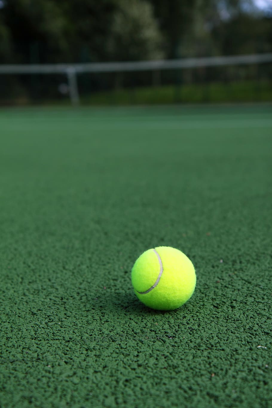 selective focus photography of green tennis ball on sod at daytime HD wallpaper