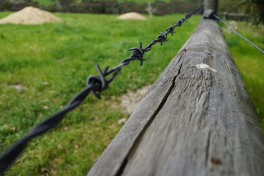 barb wire, keep out, beware, stay away, border, security, protect, HD wallpaper