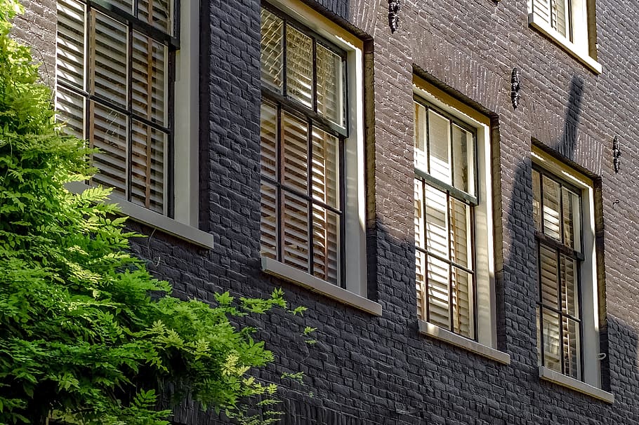 home, house, facade, brick, painted brick, brown, ivy, amsterdam HD wallpaper