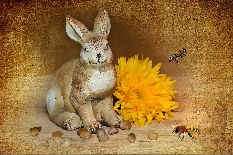 hare, dekohase, easter bunny, flower, blossom, bloom, dekoblume HD wallpaper