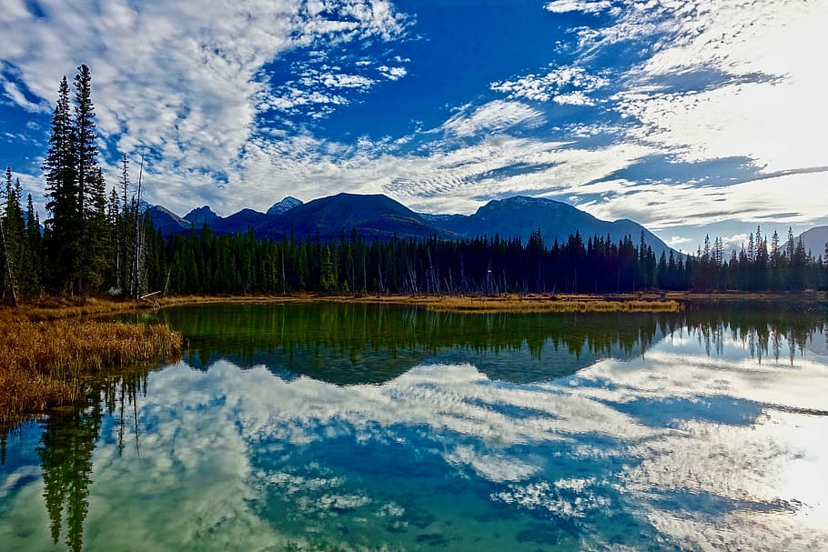 reflection, water, lake, wilderness, landscape, nature, tranquil HD wallpaper