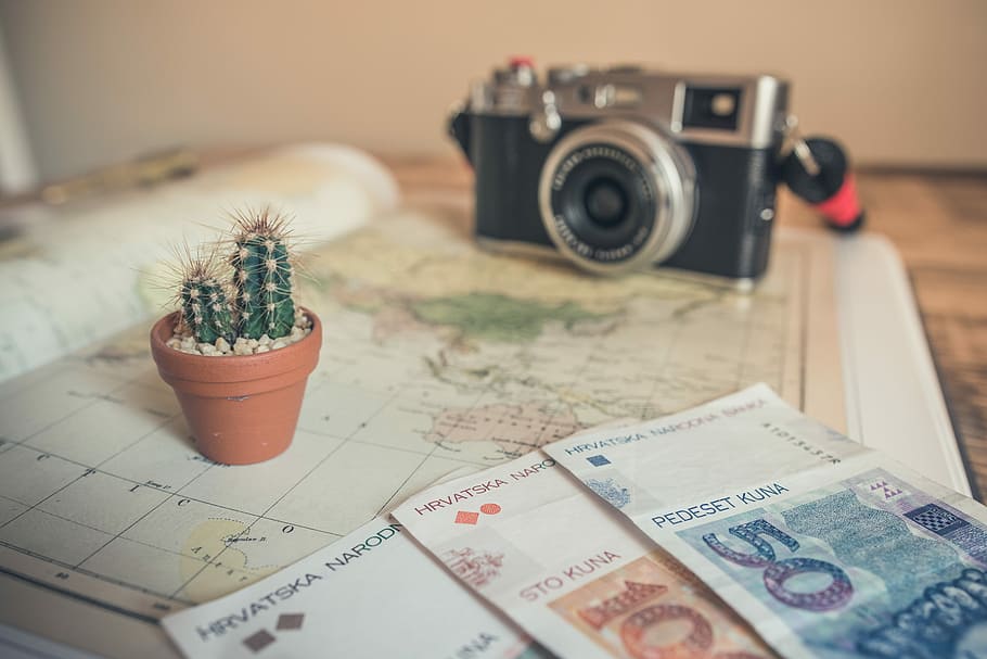 selective focus photography of cactus plant and banknote on table, three banknotes on book