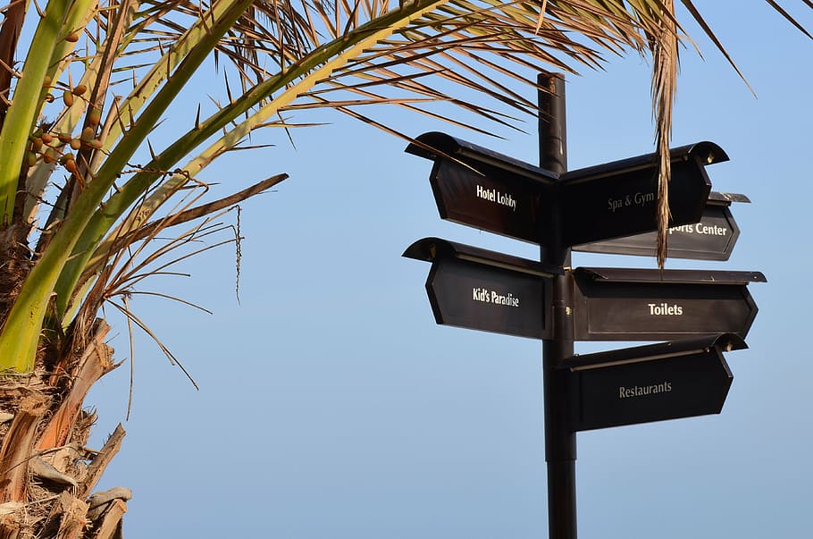 directory, beach, signpost, signs, sky, nature, palm tree, low angle view HD wallpaper