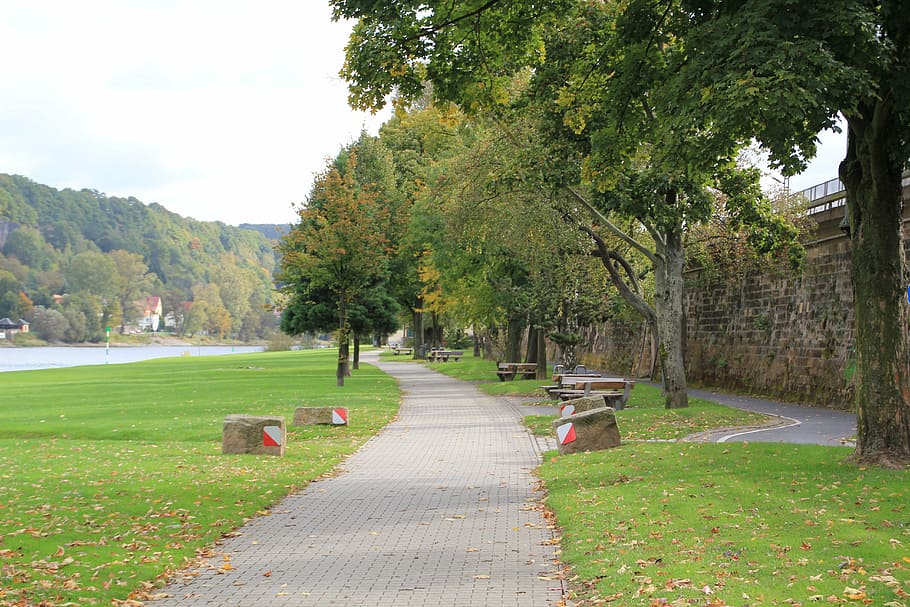 cycle path, away, landscape, bank, nature, trees, rest, plant HD wallpaper