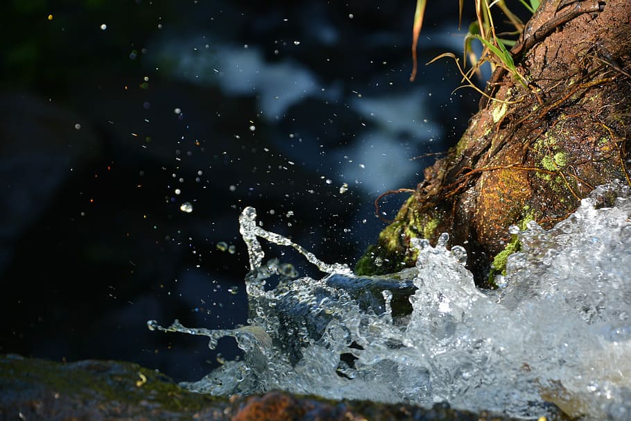 waterfall, nature, abseiling, cascade, forest, splashing, motion HD wallpaper