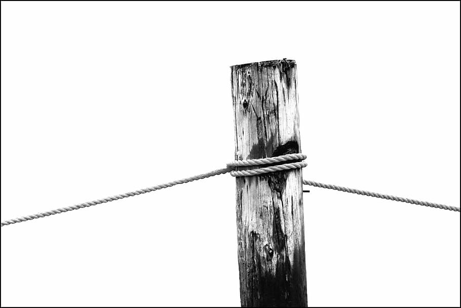 rope tied on log, dew, cordage, fixing, twisted ropes, woven HD wallpaper