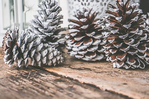 pinecone, snow, creativity, snowy, selective focus, pine cone HD wallpaper