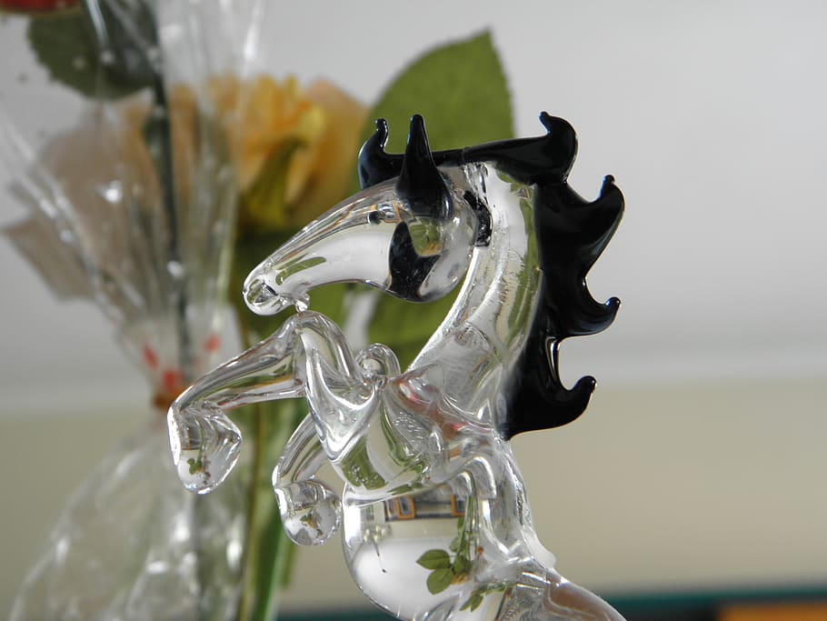 horse, glass, macro, close-up, focus on foreground, no people HD wallpaper