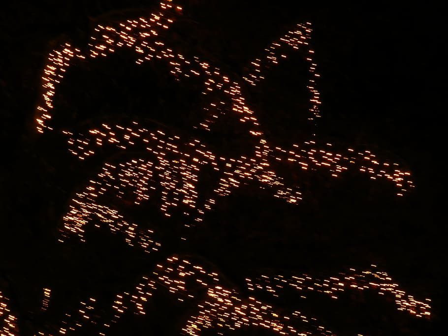 tree, deco, decoration, wobbles, visual fault, out of focus HD wallpaper