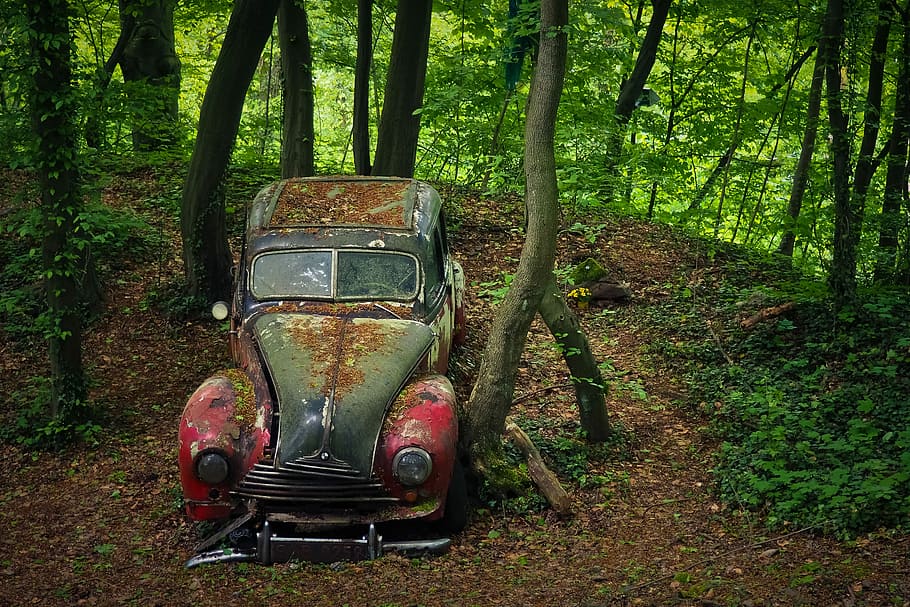 rusted classic gray and red vehicle surrounded by trees, auto, HD wallpaper