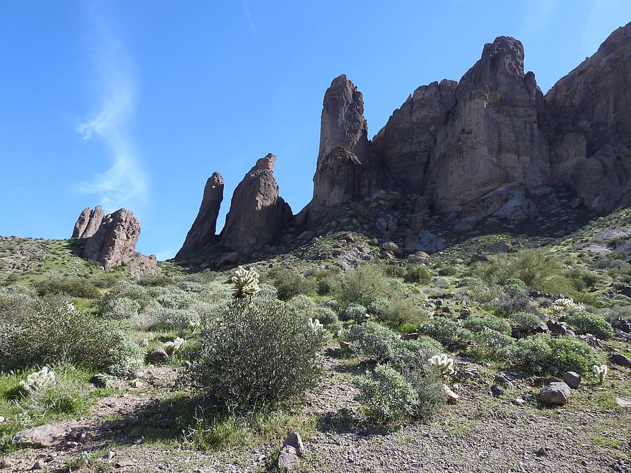 Arizona, Cactus, Desert, rock - object, rock formation, nature HD wallpaper