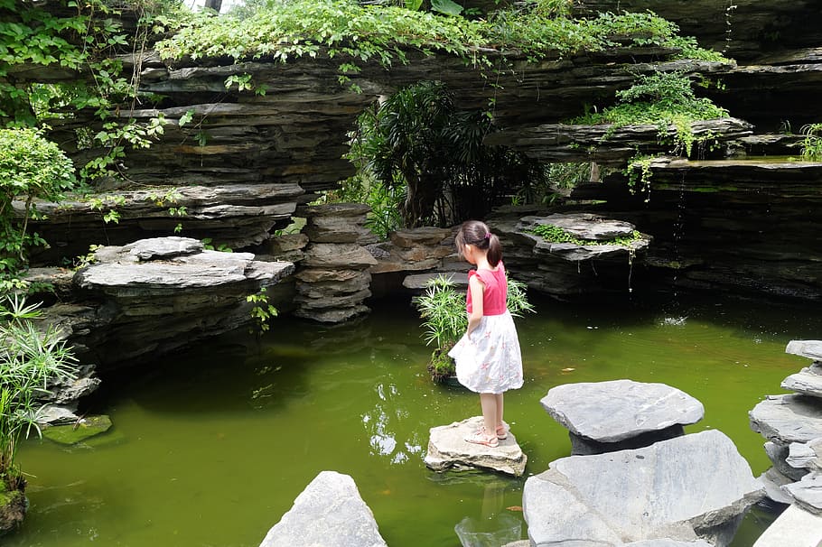 China, Shenzhen, Nature, Garden, park, landscape, pond, rock - object, HD wallpaper