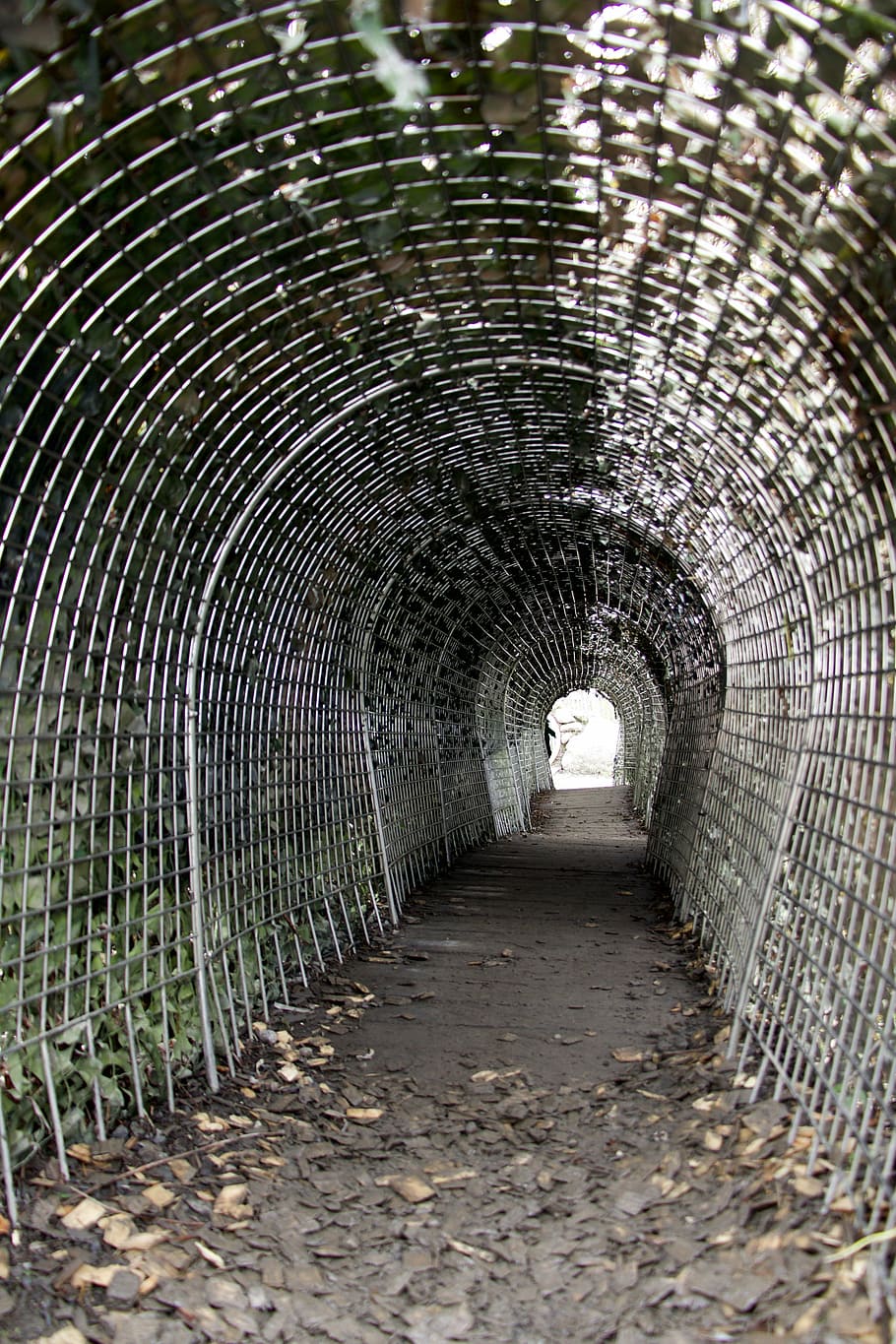 away, tunnel, passage, path, direction, the way forward, arch HD wallpaper