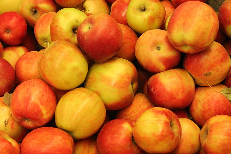 Red Apple, Fruit, Food, apples, nature, healthy, diet, fresh HD wallpaper