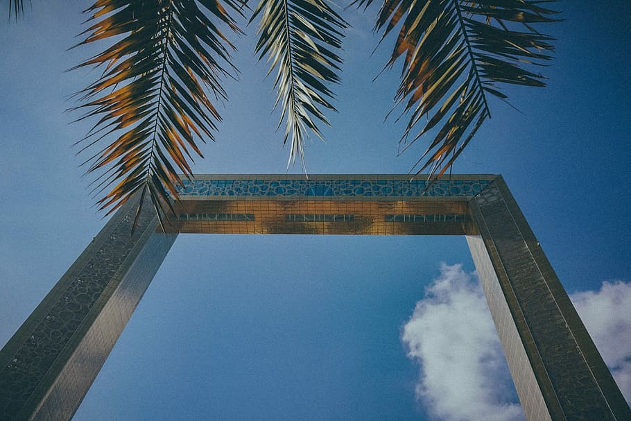low-angle photography of gray arch near tree, low angle photography of gray archway near palm trees HD wallpaper