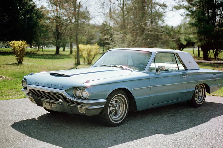 bleu coupe, blue coupe parking near trees at daytime, thunderbird HD wallpaper