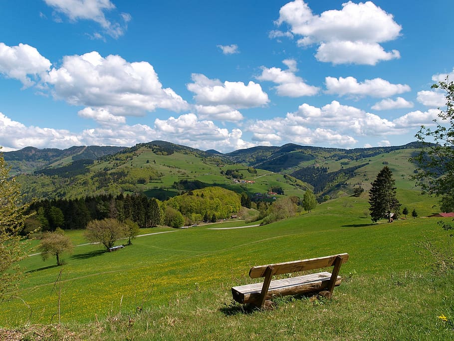 wooden bench on green field, landscape, black forest, germany HD wallpaper