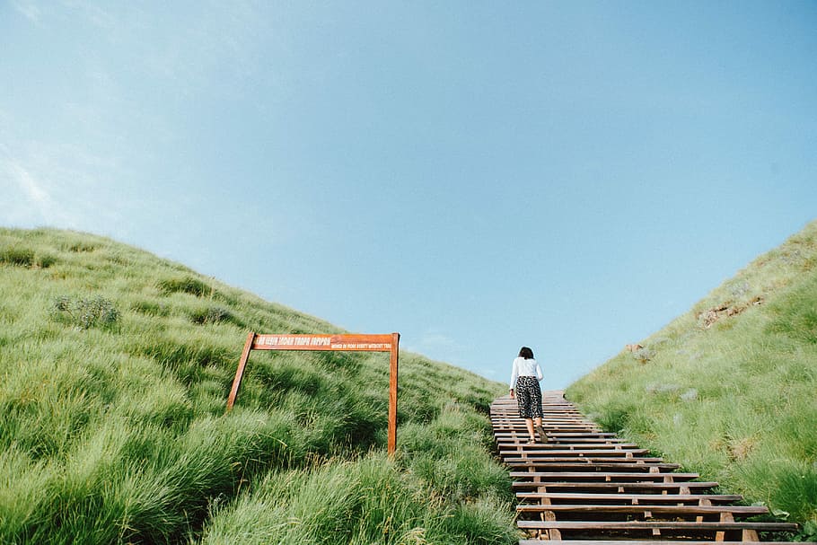 woman walking up on wooden staircase on grass covered mountain during day, woman walking upstairs on mountain HD wallpaper