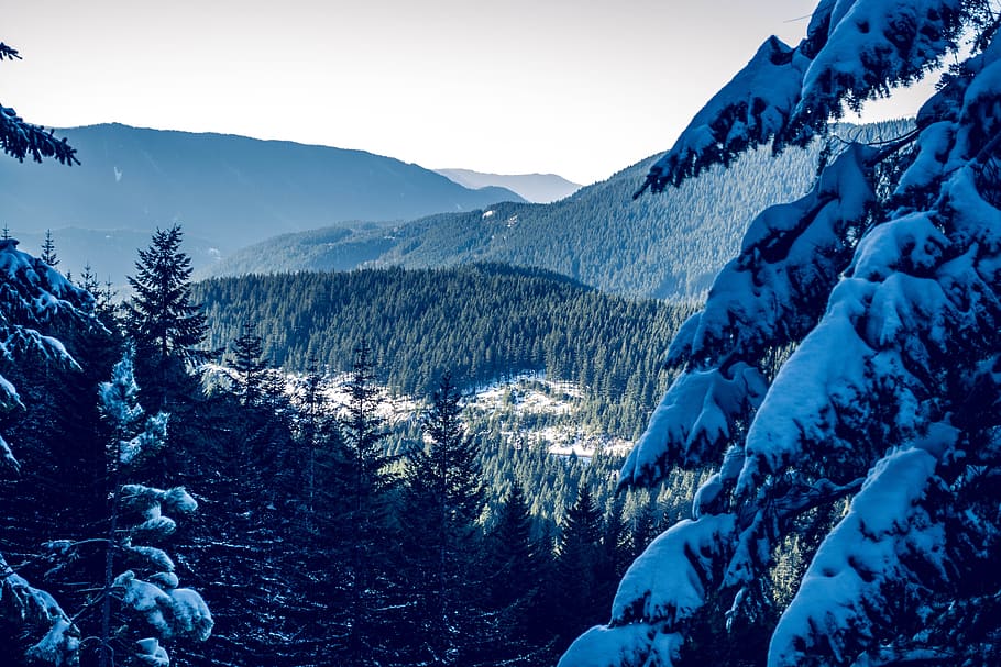 cold, snow, landscape, nature, mountain, outdoors, scenic, trees HD wallpaper