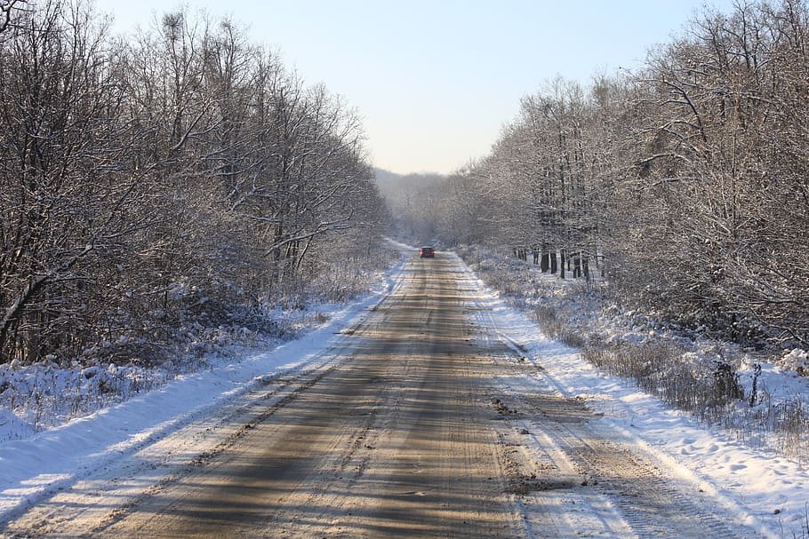 cold, forest, road, snow, snowy, trees, white, winter, wood HD wallpaper