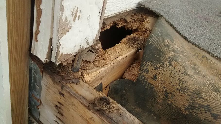 porch-repair-damage-wood.jpg