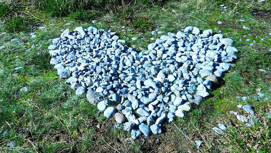 heart, flint, greeting, plant, high angle view, nature, day HD wallpaper