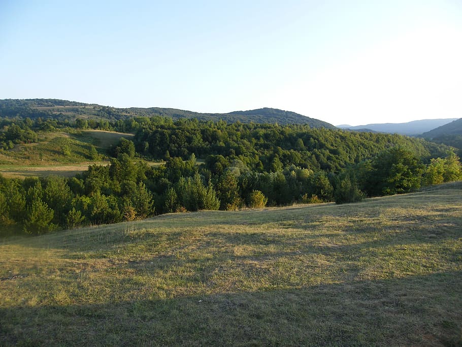 Steppe, Meadow, Grass, wide, evening light, croatia, landscape HD wallpaper