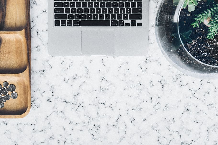 laptop, plant, technology, computer, coins, contemporary, keyboard HD wallpaper
