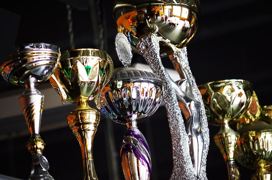 HD wallpaper: closeup photo of trophies inside dark room, cups, winner ...