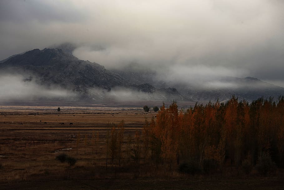 prairie, dark clouds, autumn, beauty in nature, sky, environment HD wallpaper