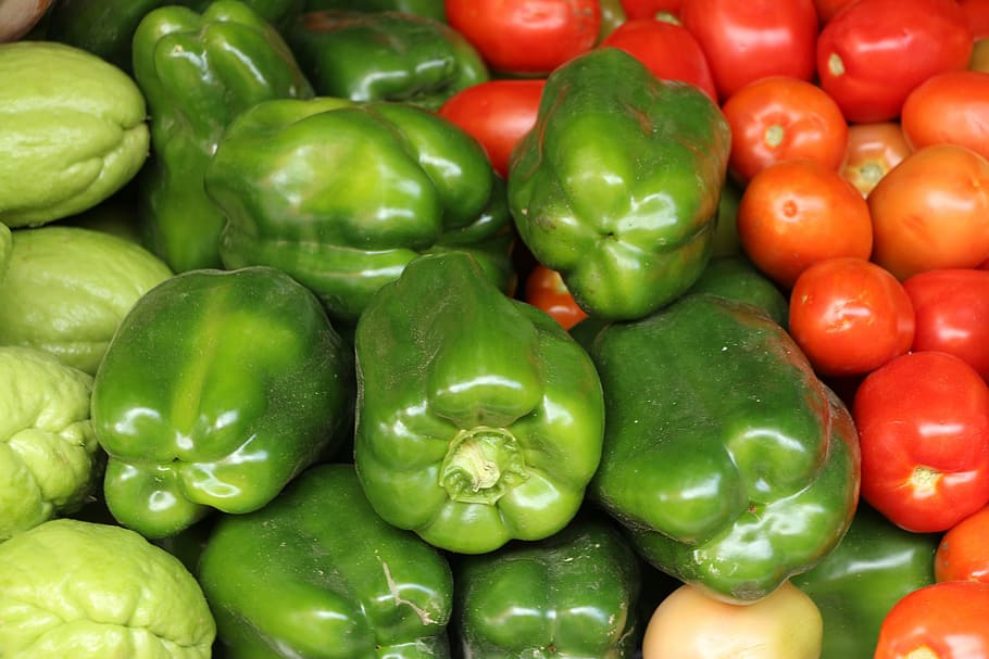 vegetables, pepper, tomato, chayote, recife, pernambuco, agriculture HD wallpaper