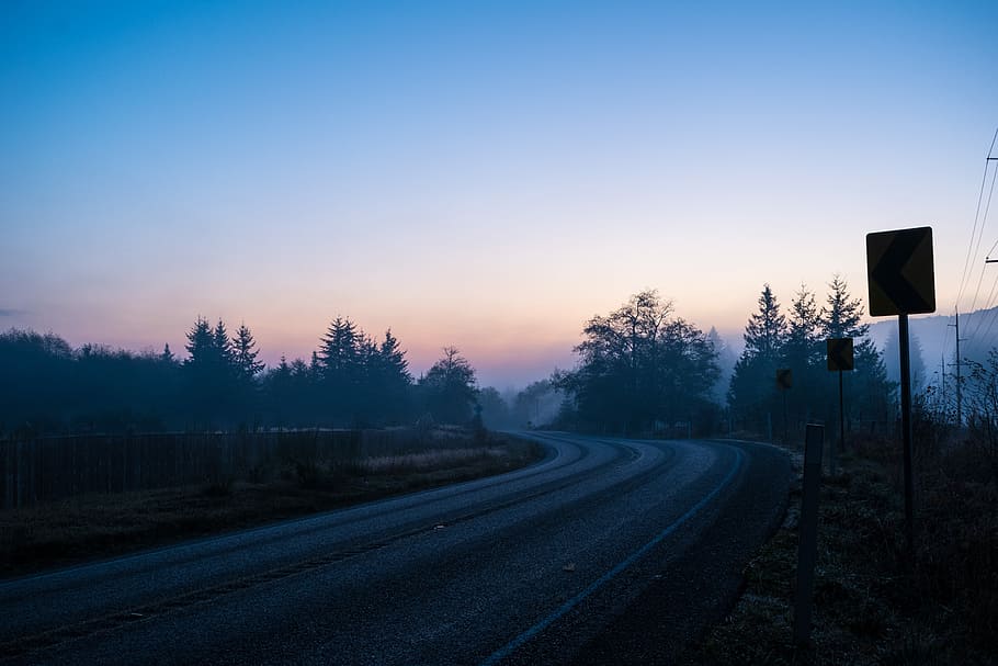 photography of foggy road and trees, road signage and trees under gray sky HD wallpaper