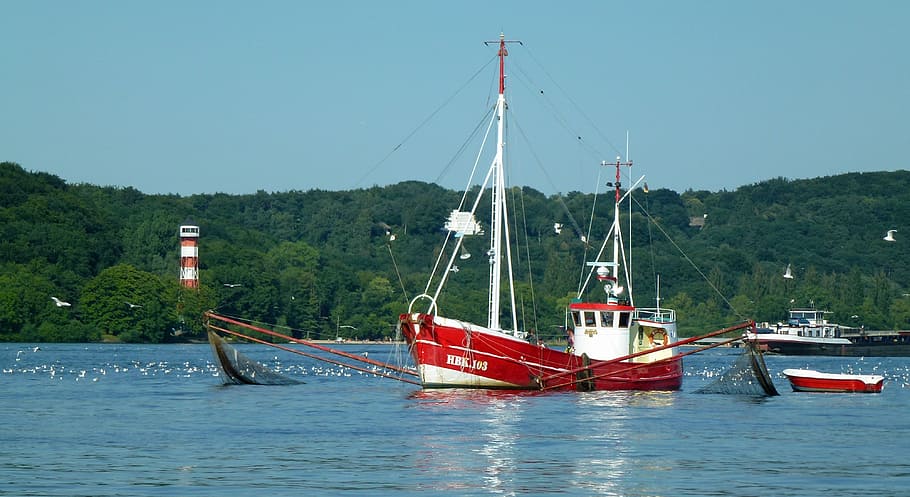 elbe, fishing, cutter, red, fischer, lower saxony, museum ship, HD wallpaper