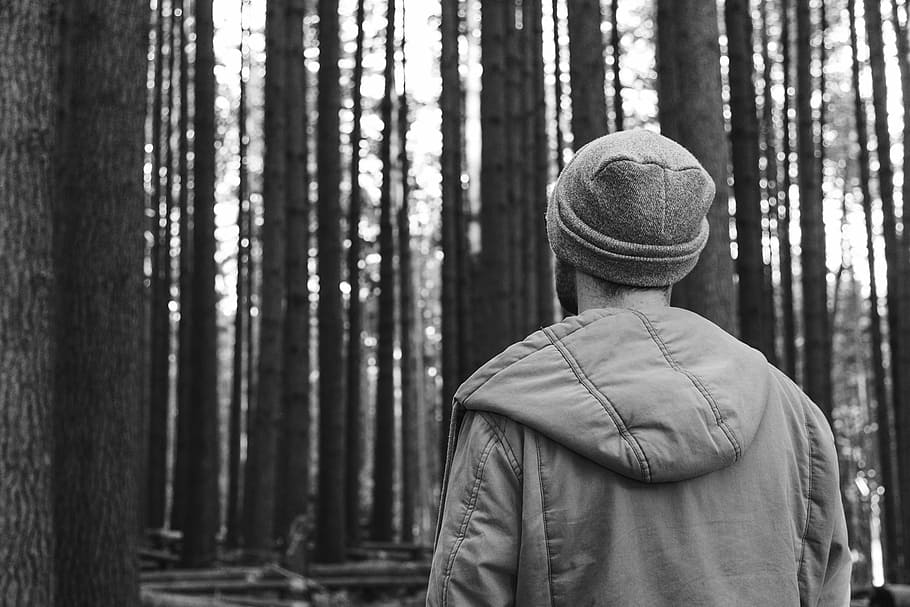 grayscale photo of a man looking at trees, grayscale photo of man in forest at daytime HD wallpaper