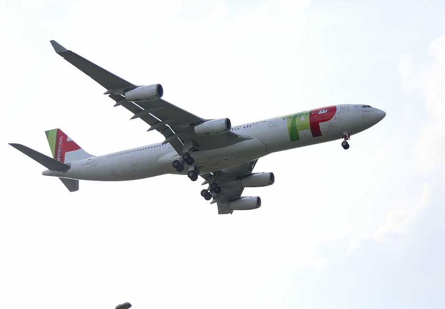 white, red, and green airplane on sky, tap, flying, commercial HD wallpaper