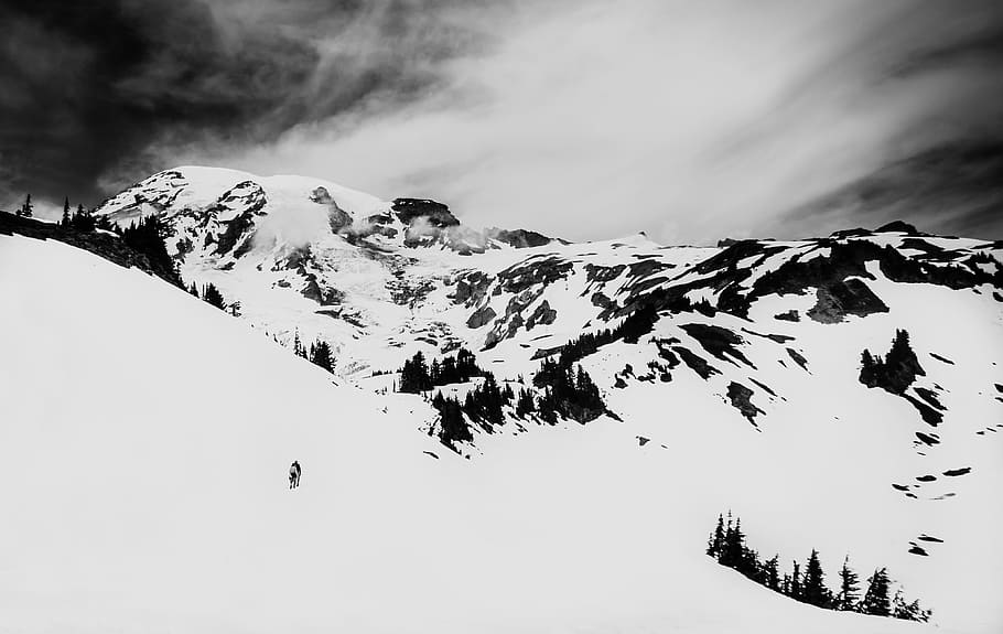 person on snow covered field, person standing on snow cap mountain under white sky at daytime HD wallpaper