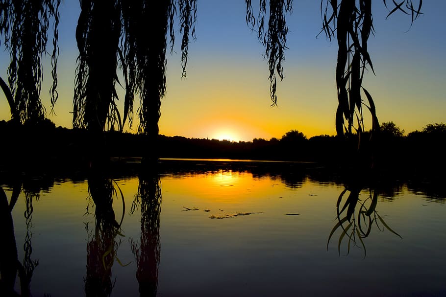 park, sunset, gorgeous, romantic, willow, water, reflection HD wallpaper