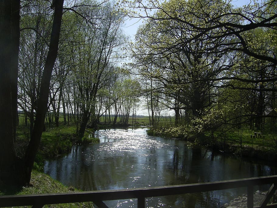 landscape, water, river, nature, bridge, tree, forest, outdoors HD wallpaper