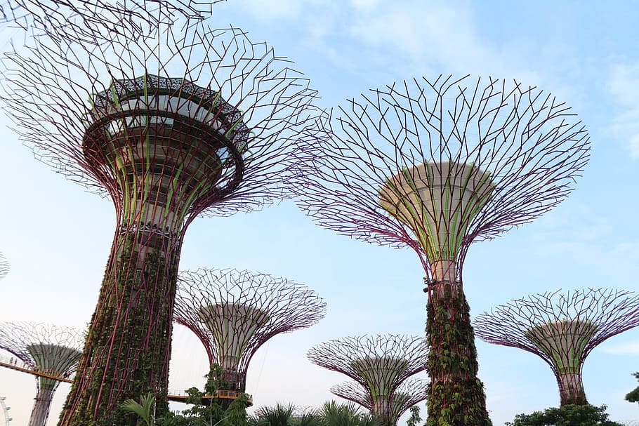 Trees, Structure, Nature, supertrees, colorful, sculpture, monument HD wallpaper