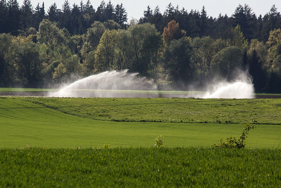 water, fields, blow up, irrigation, artificial, agriculture HD wallpaper